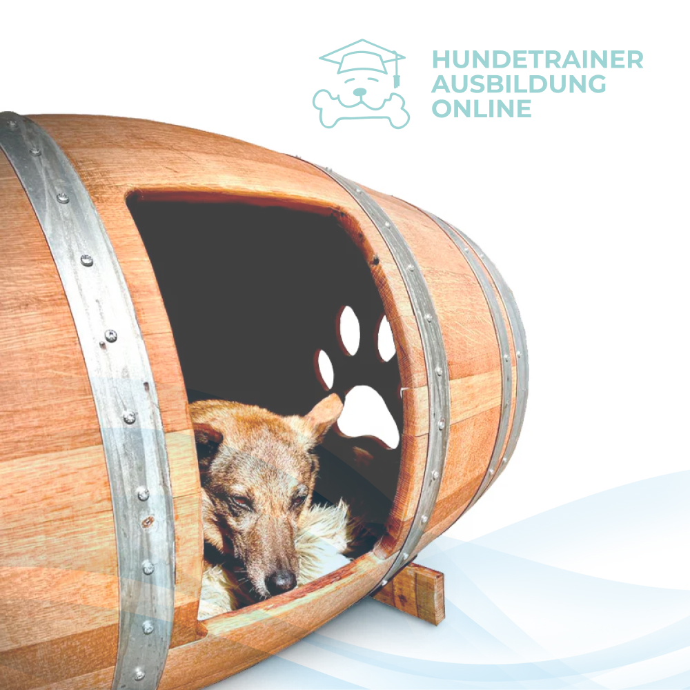 HundetrainerausbildungOnline.de – A ScalableShopify Dog Training Platform Built for Growth