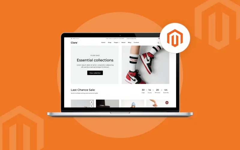 Magento Development Services
