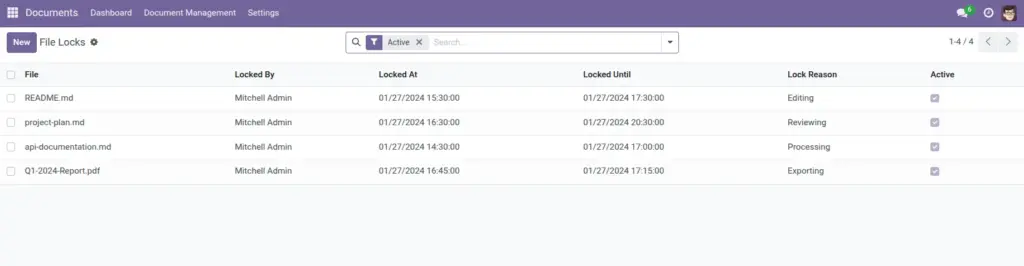 File Locks (Avoid overwrites)