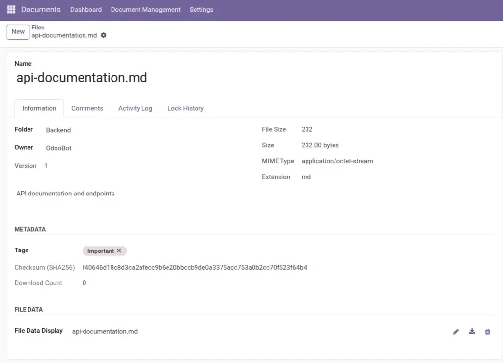 Files (Upload, preview, versions)
