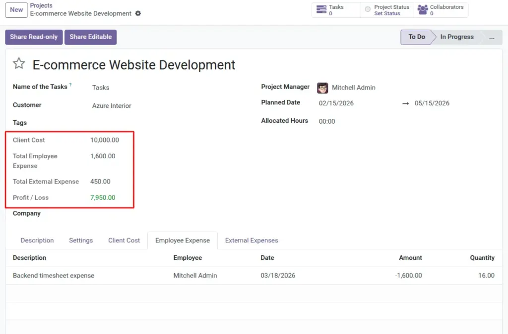 Project Profit/Loss (what it means)