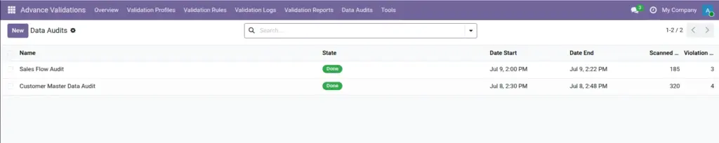 Data Audits Data Audits